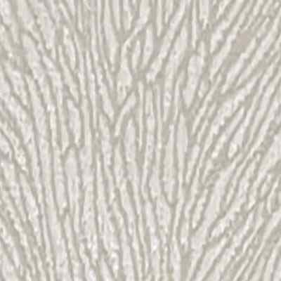 Açık Krem Taytüyü